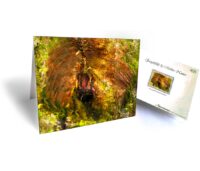 tree greeting cards for sale