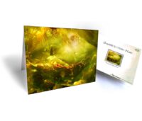 trees art greeting cards