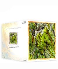 trees greeting cards