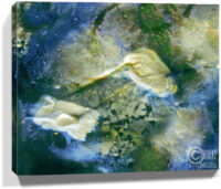 art on stones prints for sale