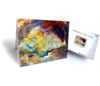 nature greeting cards