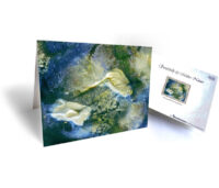 nature art greeting cards for sale