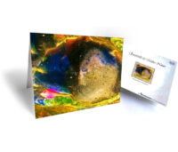 nature art greeting card