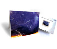 nature greeting cards for sale