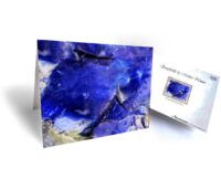 nature art gifts greeting cards