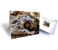 real tree art greeting card