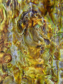 tree wall art poster