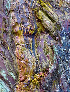 tree art for walls