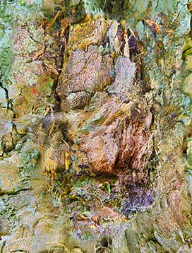 tree art framed