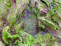 tree wall artwork for home or office