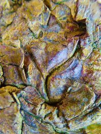 tree wall art framed