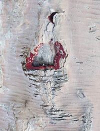 tree art for walls of home or office