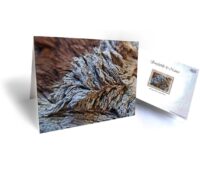 tree greeting cards for sale