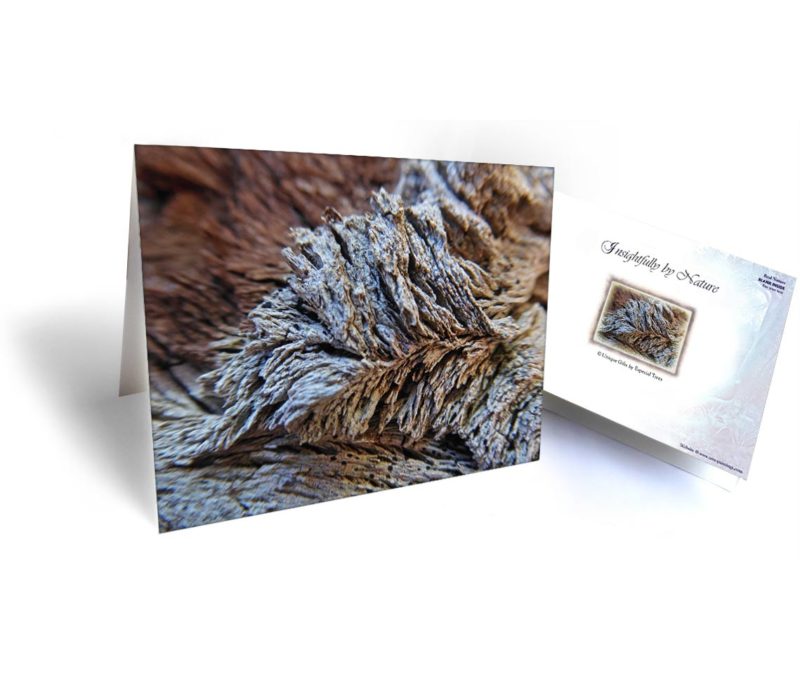 tree greeting cards for sale