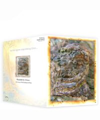 trees greeting cards for sale