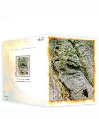 trees greeting cards
