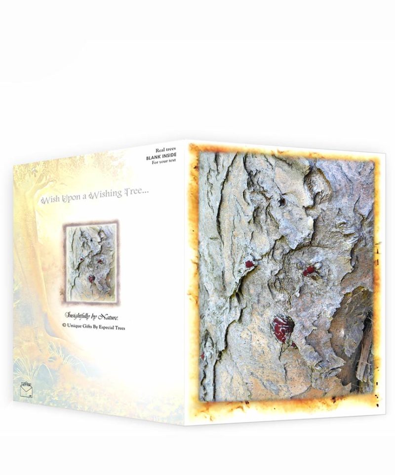 tree greeting cards