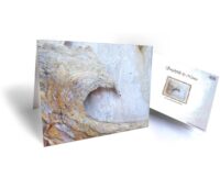 greeting cards with tree art