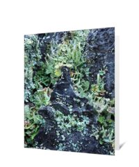 Trees Art Greeting Cards