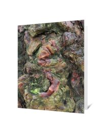 Tree Art Greeting Card