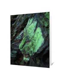 Tree Art Greeting Card