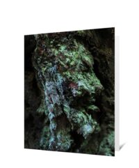 Trees Art Greeting Cards