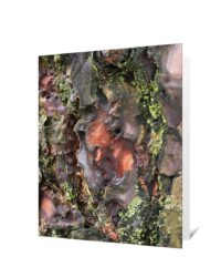 Trees Greeting Cards