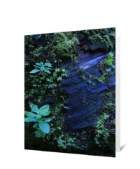 Trees Art Greeting Cards