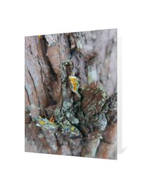 tree greeting card