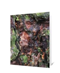 Trees Art Greeting Cards