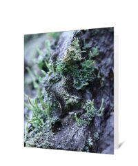 Trees Art Greeting Cards