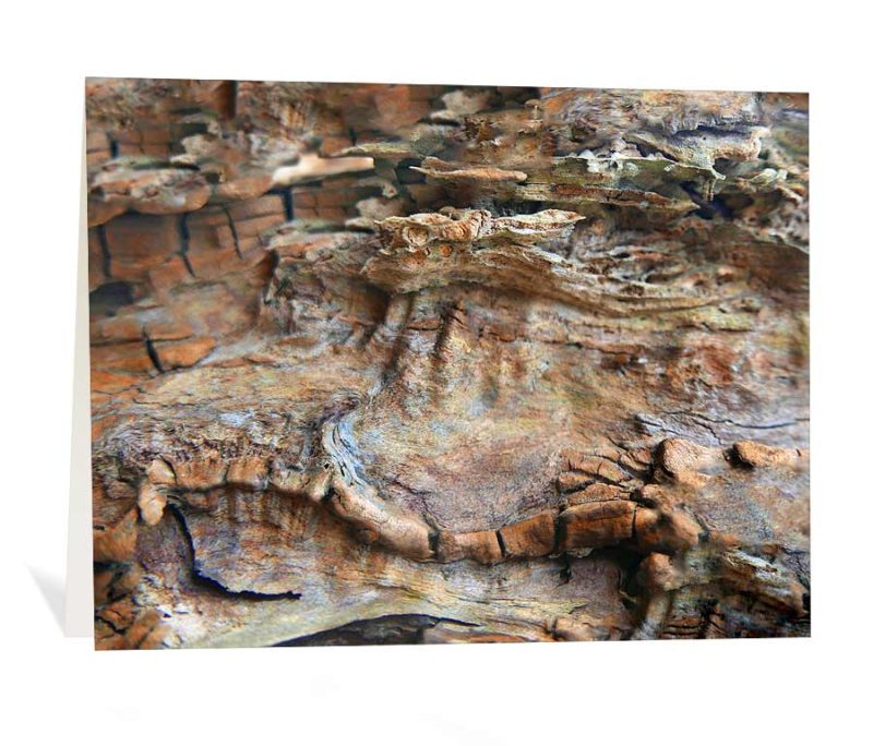 trees greeting card