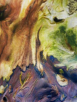 tree-art-poster-for-walls