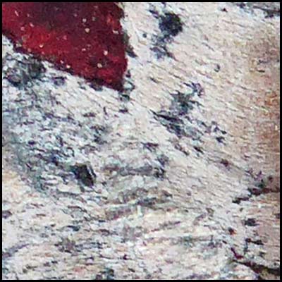 tree-artwork-detail-preview
