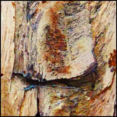 tree-artwork-detail-preview