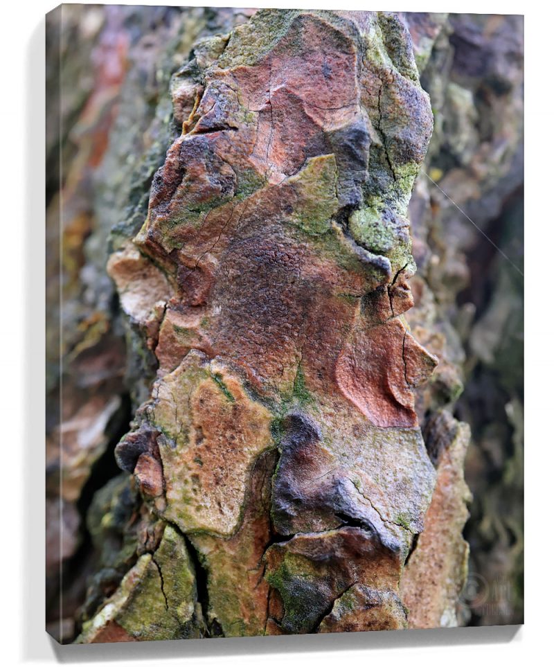 Tree wall art decor