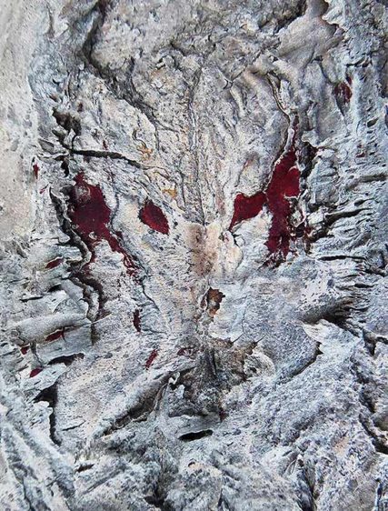 Art with trees