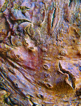 tree artwork