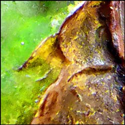 tree-art-close-up-preview
