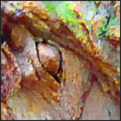 tree-artwork-detail-preview