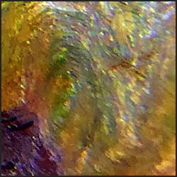 tree-artwork-detail-preview