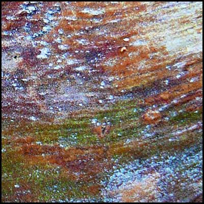 tree-artwork-detail-preview