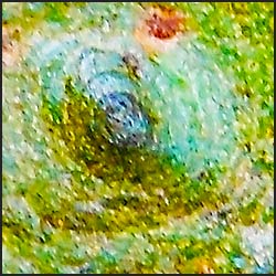 tree-artwork-detail-preview
