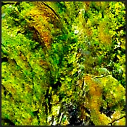 tree-art-detail-preview