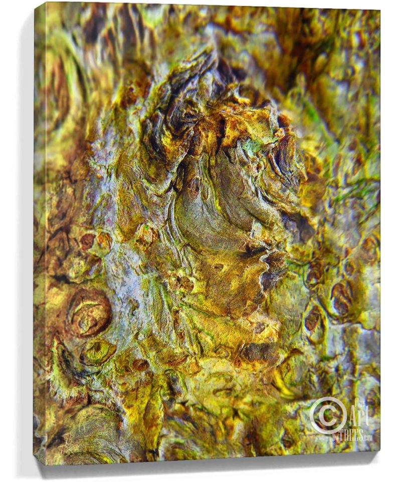 trees wall decor canvas