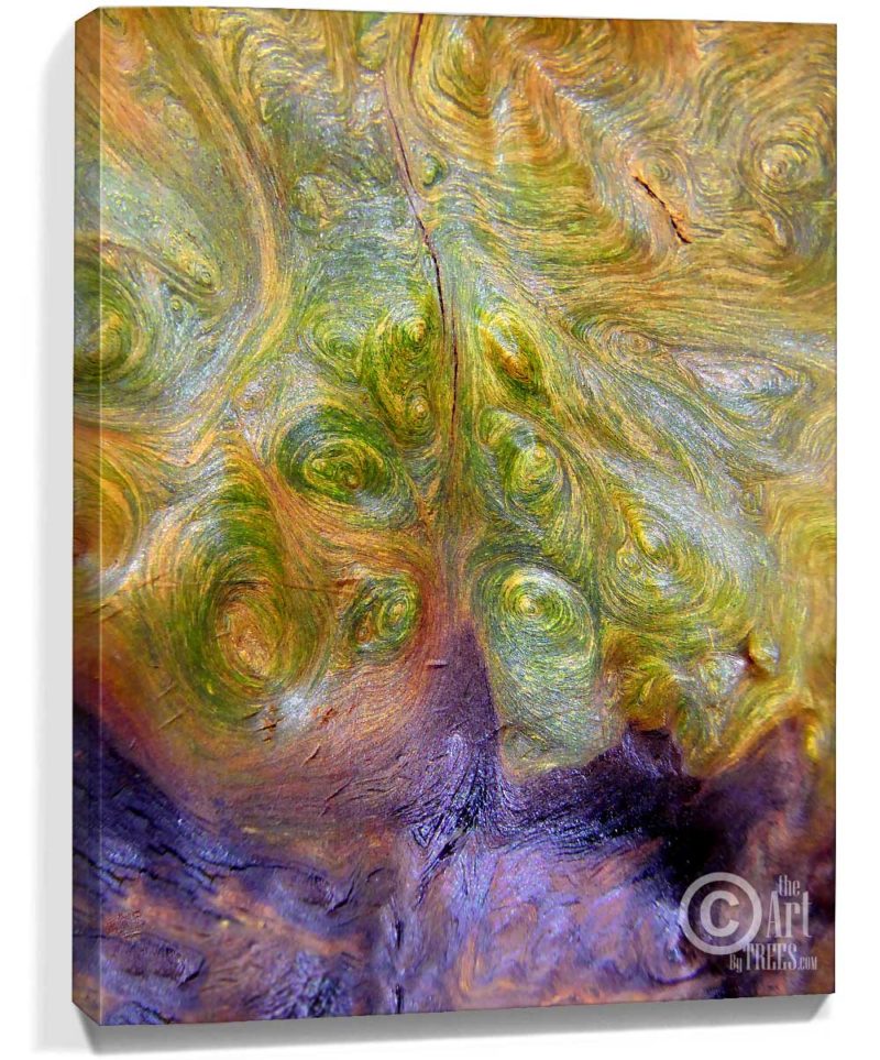 trees artwork for sale