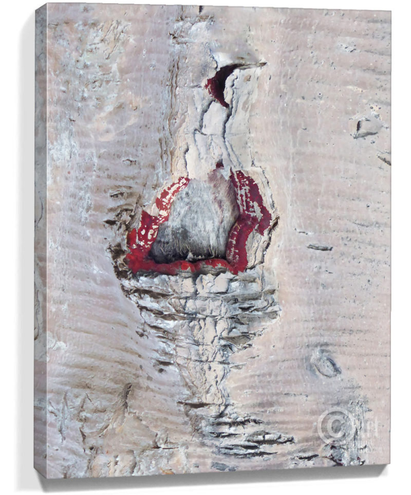 trees artwork for home or office walls