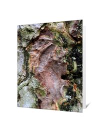Trees Greeting Card