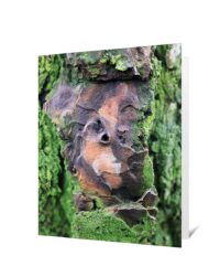 trees greeting cards for sale
