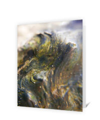 tree art greeting card